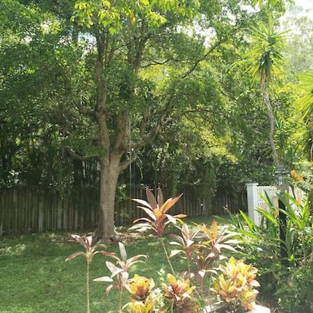 Apts With Backyard Near Fort Lauderdale Beach, Nightlife, Cruise Port, Airport Exteriör bild